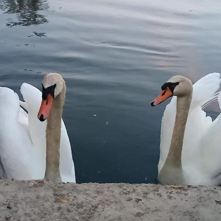 Les Tonneaux De L'eure Insolite Bed & Breakfast Neuilly (Eure)