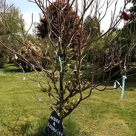 Les Tonneaux De L'eure Insolite *